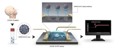 病毒快速檢測(cè)和分析 探究基于石墨烯場(chǎng)效應(yīng)的晶體管生物傳感器的應(yīng)用